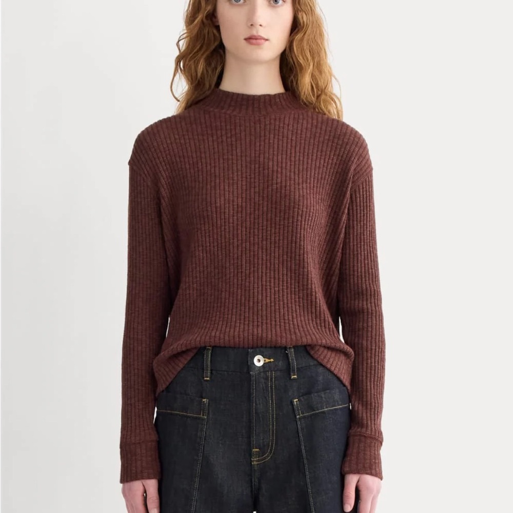 NWT Everlane The Cozy Rib Funnel-Neck in Mahogany